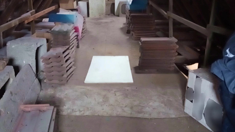 Mark Hannes: 快速的旧存储羞辱手淫