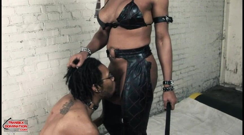 Transex domination: Caress in Charge