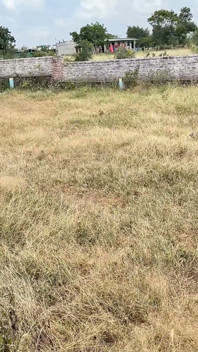 The Salesman Went to Buy a Soft Plot at the Location and Showed Me That Madam Liked It.