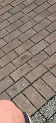 I'm Going to Kick Your Ass with My Size 45 Foot - 12½ Inches