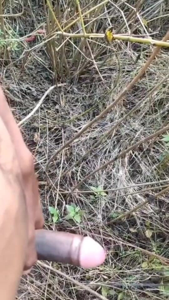 Desi Tits: Outdoor Cumshot Complaition in Jungle