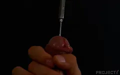 下午探测会议