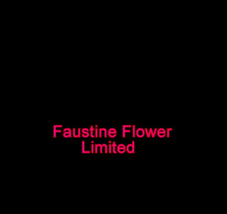 Faustine: Seksi travesti etek yüksek topuklu çorap