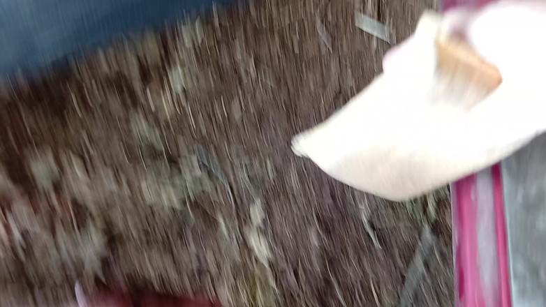 tammara big: Dirty Feet Outside