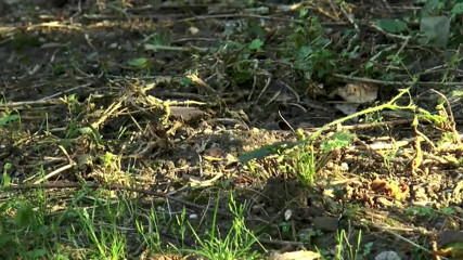 Deutschland porn: Porn Style in Germany - Scene #07
