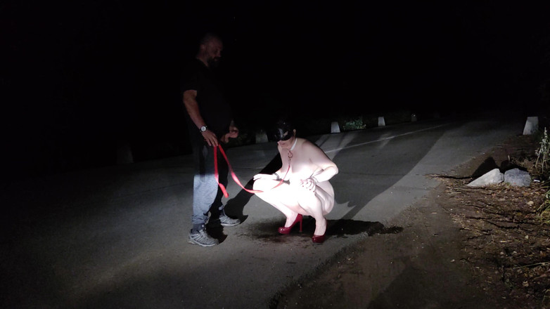 Toilet Mommy: Seorang pria membuatku mengisap kontolnya dan kencing di jalan