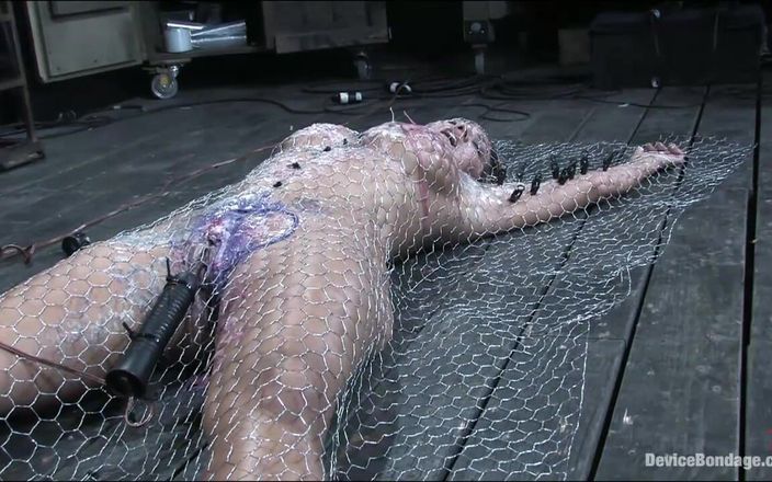 Device Bondage by Kink: Einge penetriert