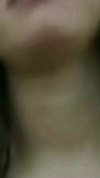 Trailer 491