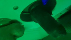 Shana Swarofski: Shana Swarofski