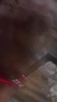 Teman-temanku Terkasih, Lihat Bagaimana Aku Akan Menguras Penisku Dengan Massa Otot.