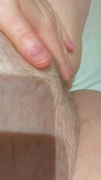 Labia berbulu