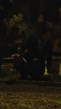 Sucking Cock by the Roadside on Rush Hour