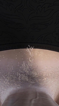 POV, Asian Futanari zerżnęła mnie w usta swoim wielkim kutasem