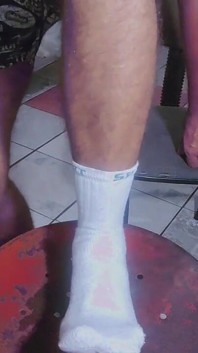 Gray Boxer and White Socks (video 1)