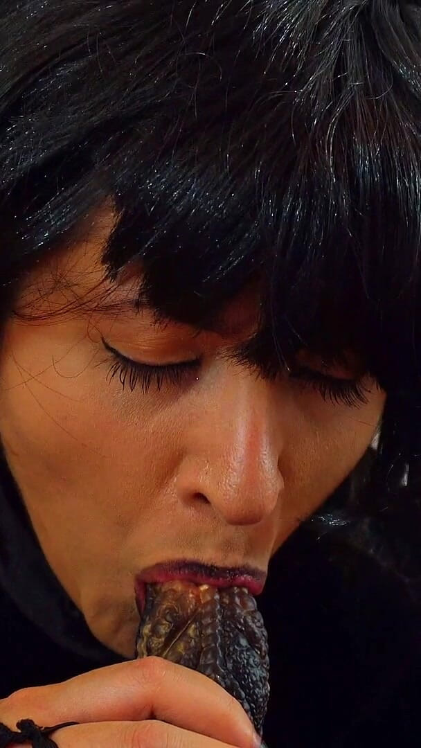 VickyVixen: Mavis sní o monstrózním ptákovi