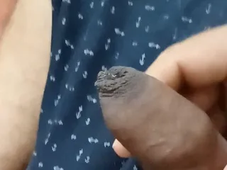 Con cặc tươi mới