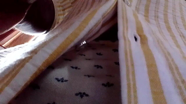 Janua294 Trans: Girl Boy Panty