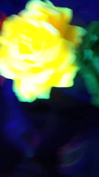 Negro luz chupando polla