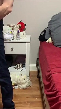 继女被大鸡巴继父绑住并被用来发泄，她被吃掉并被深喉口交