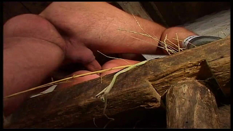 Vintage Movies XXX Best of: 复古金发熟女在谷仓和户外被干