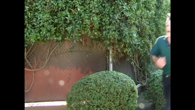 Bewitched!: Dyn-a-myte: Neuk me in mijn perfecte kut, maar ook in...