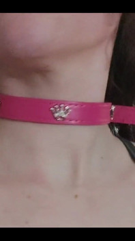 What Do You Think of My New Collar?