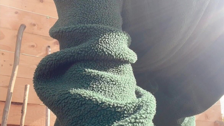 sweethanajapanese: Big Rain From Teen Hana Small Hairy Pussy Tiny on...