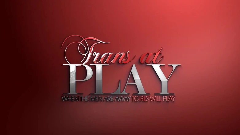 Trans 500: La signora lux fa un accordo