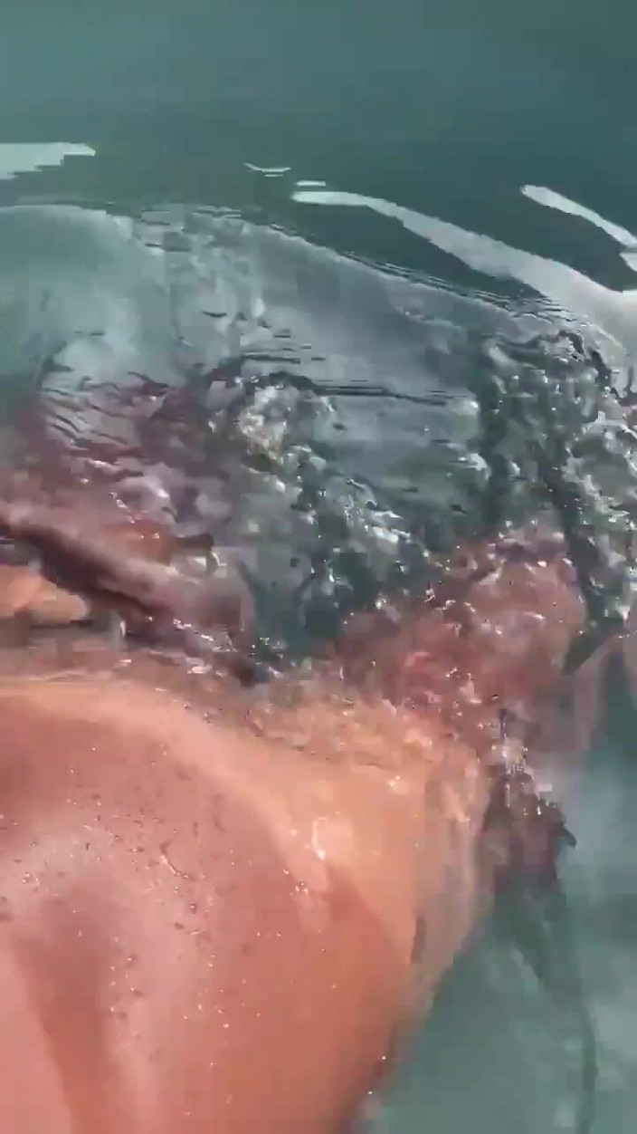 Vida Noite: Listening to Gooning Audio in the Pool and Jerking off