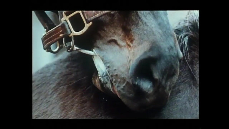 Vintage megastore: Дружинами з волохатою пиздою поділилися зі своїми улюбленими членами (повний фільм)