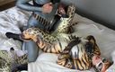 Nylon Xtreme: 200 Nora Fox Cheetah neukte zentai-luipaard