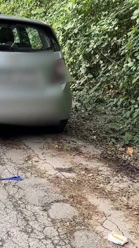 Ritrovo Perverso Di Strada! Il Gatto Con Gli Stivali Scopa Senza Gomma