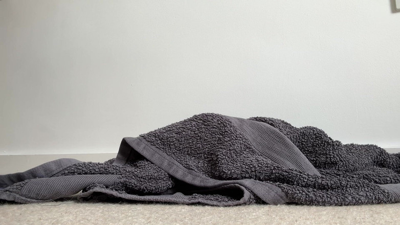 Miss Valentina: 俺のタオルの上をゴーン