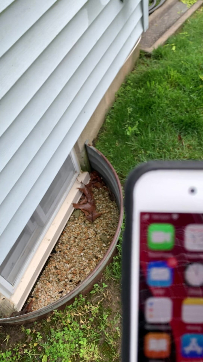 Jaycee starr: Bị bạn trai bắt gặp thủ dâm