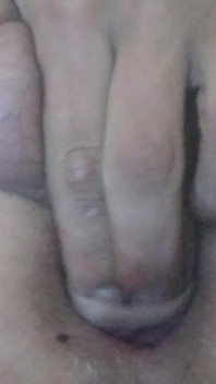 Anal Penyisipan