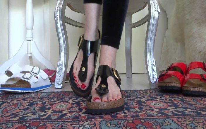 Lady Victoria Valente: Birkis slippers cho thấy 4 cặp Birkis so sánh