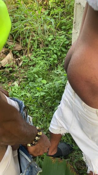 Arola7: Saklambaç çalı sikişi