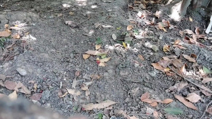 Kitty_Cross: Peek-a-boo külot