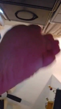 Spit & Soles