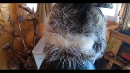 Deep Throat, Cum Play and Cameltoe