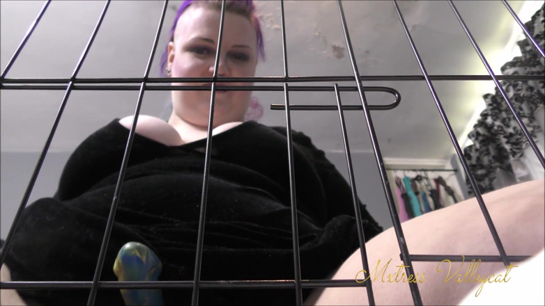 Mxtress Valleycat: Suck my dick through the bars