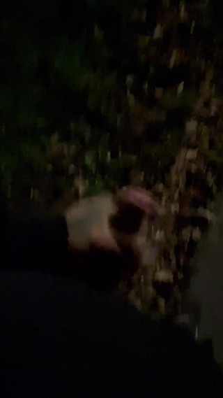 LexxyRoyal: Oudoor Riskantní zábava