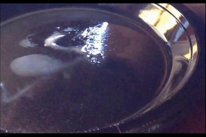 Random111zoig: Mémoc 24