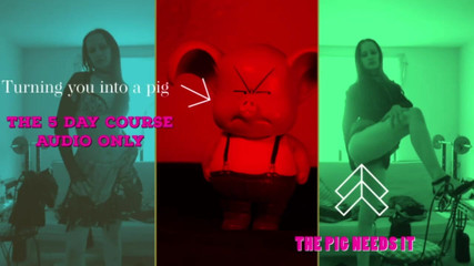 Campsissyboi: Naučte se být prasetem 5denní kurz čichání Oink JOI Všechny obrázky jsou...