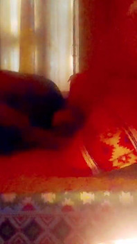 Hotwife Ankita Ki Chudai Oyo Hotell Mig Pojkvän Ne Ki