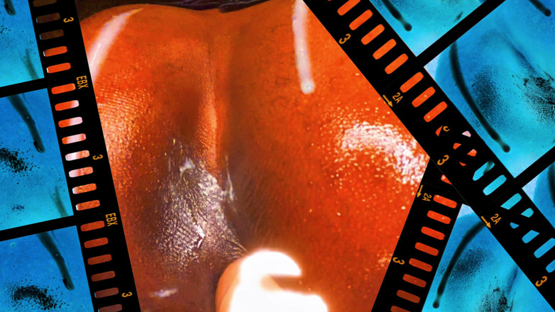 Ms300 Sarazia Exotic: Sexo anal cavalgando pau