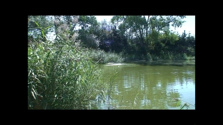 69 Italian District: Kırsal Kesimdeki Fahişeler