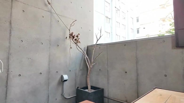 Strix: 搭讪并做爱 第8卷：一个看起来很认真的丰满大学生独自购物