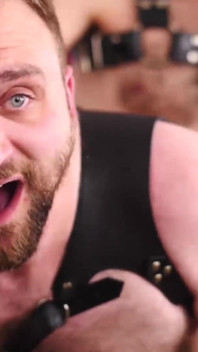 Bearfilms - el semental peludo Harper Davis folla duro con un amante gay