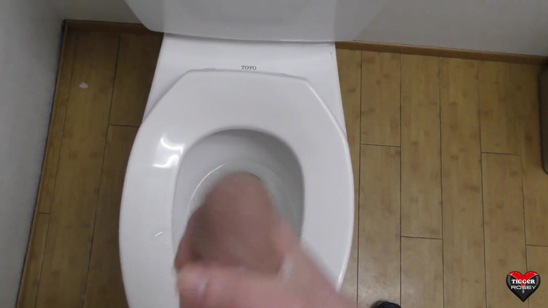 Tigger Rosey: Futa jerks off in the restroom